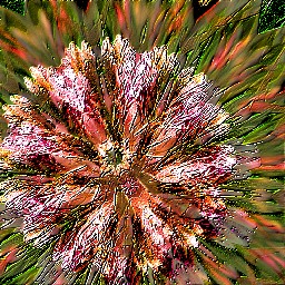Kaleidoscope FAA 01